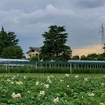 Oda ve Kahvaltı Roggetta